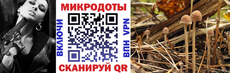 Галлюциногенные грибы мицелий  hydra рабочий сайт  Заозёрск 